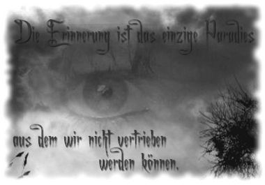 ext. Bild